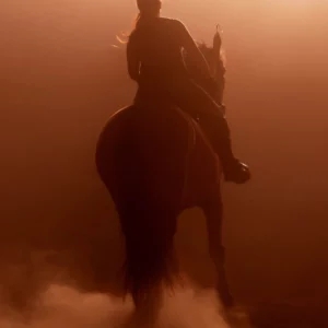 Pegasus