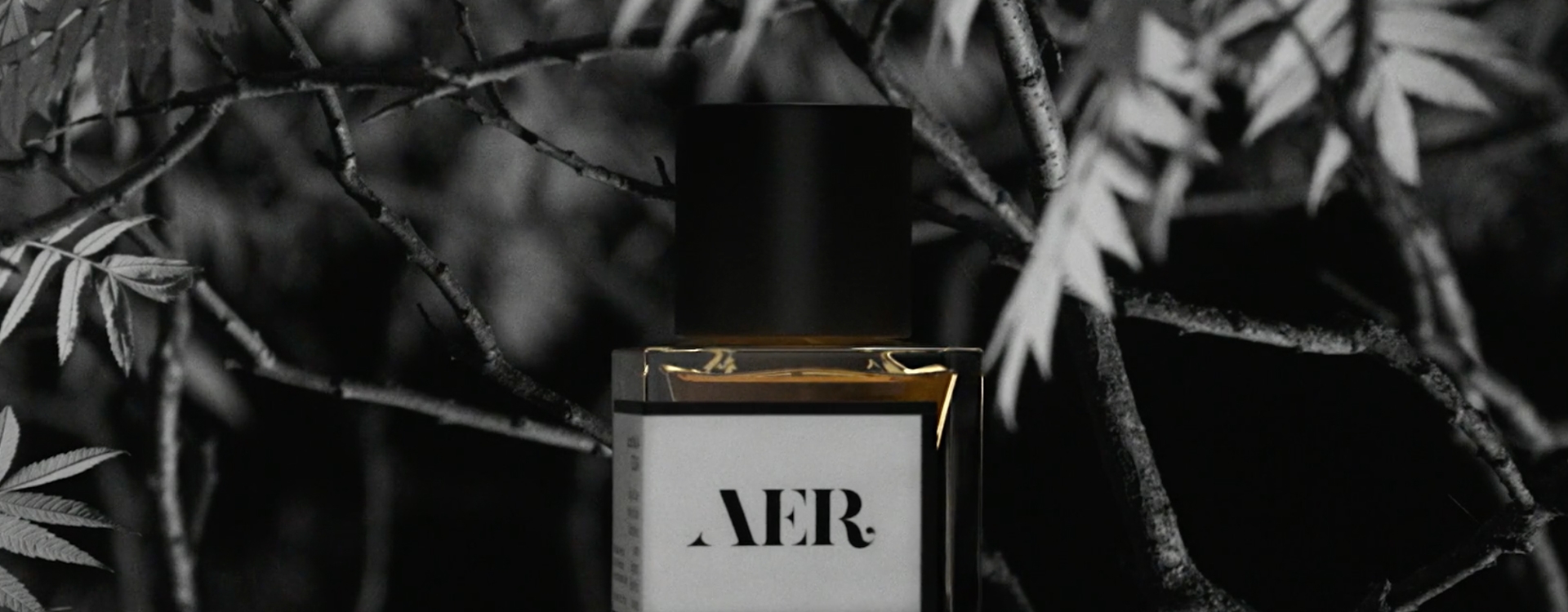 AER