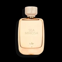 100ml Full-Size