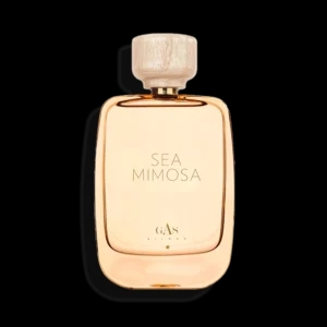 Mer Mimosa