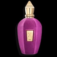 100ml Volle Größe