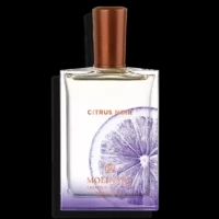 75ml Full-Size