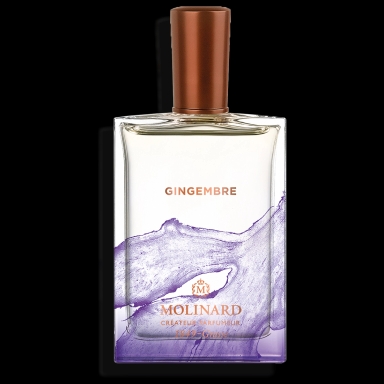 Gingembre