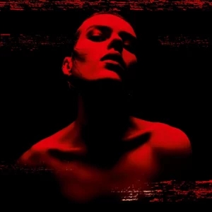Narcotic Delight