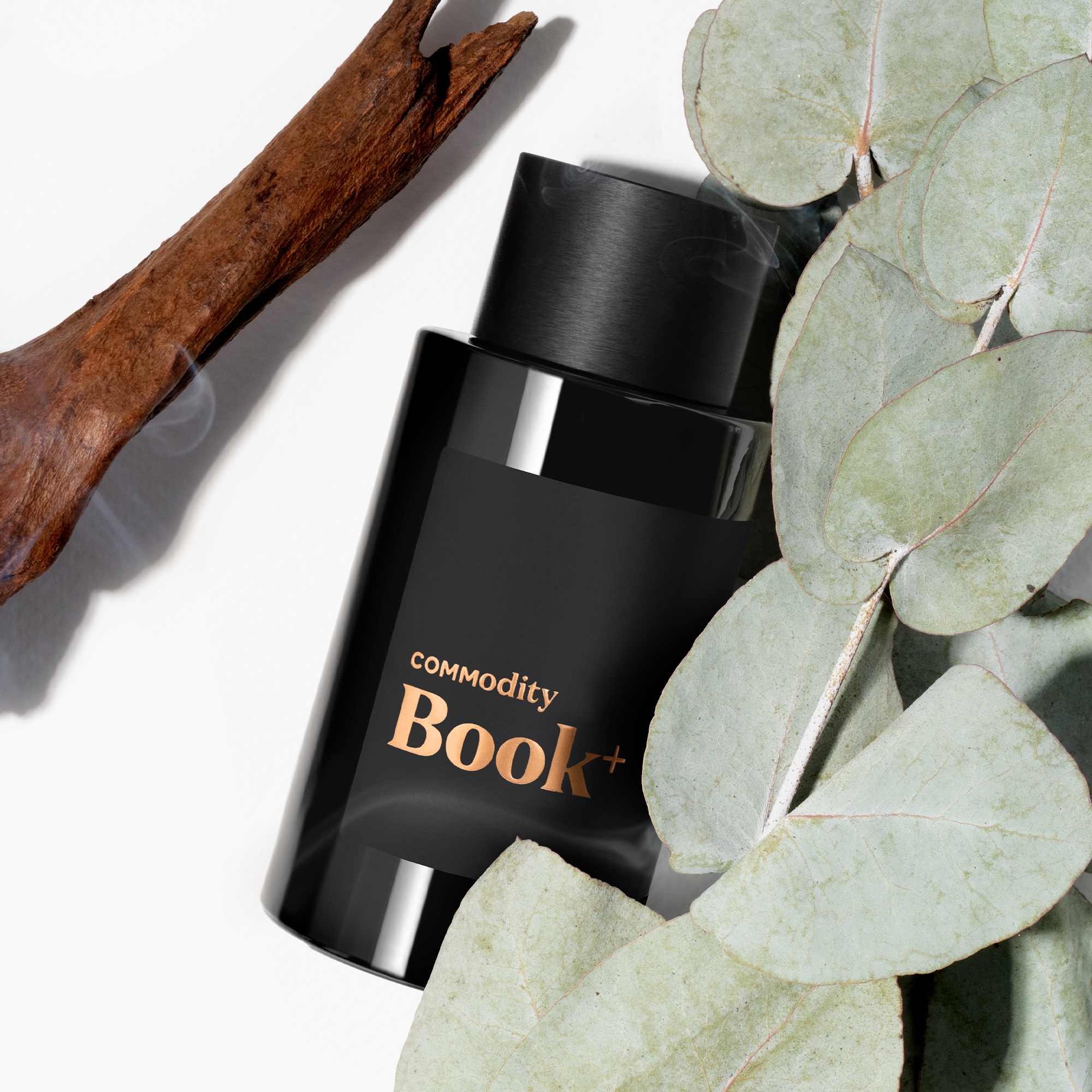Book+ Bold