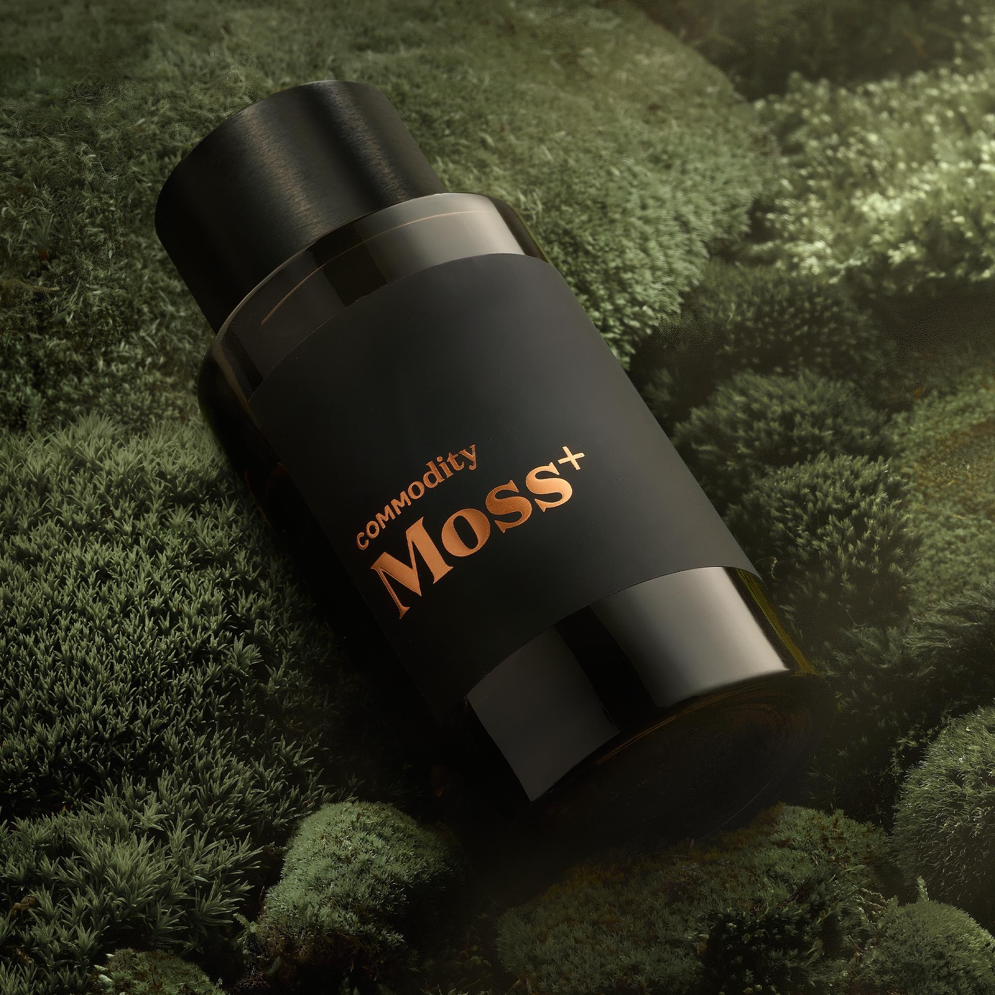 Moss+ Bold