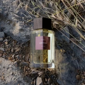 CUIR PAMPAS