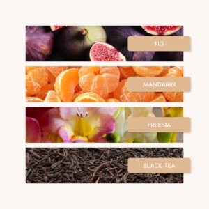 FIG INFUSION