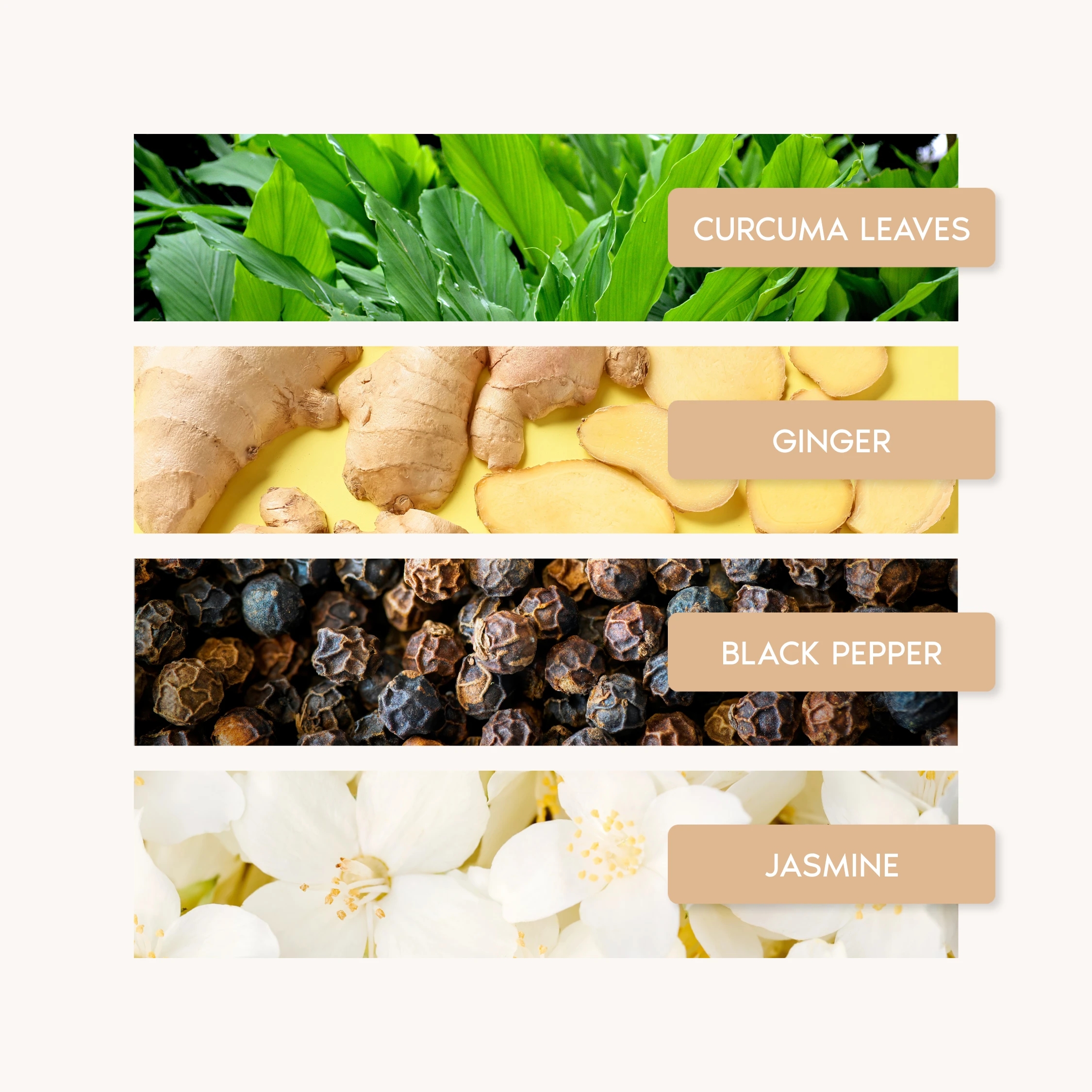 NEROLI BOTANICA