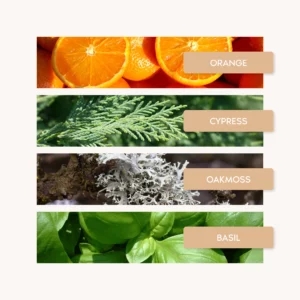 ORANGE X SANTAL