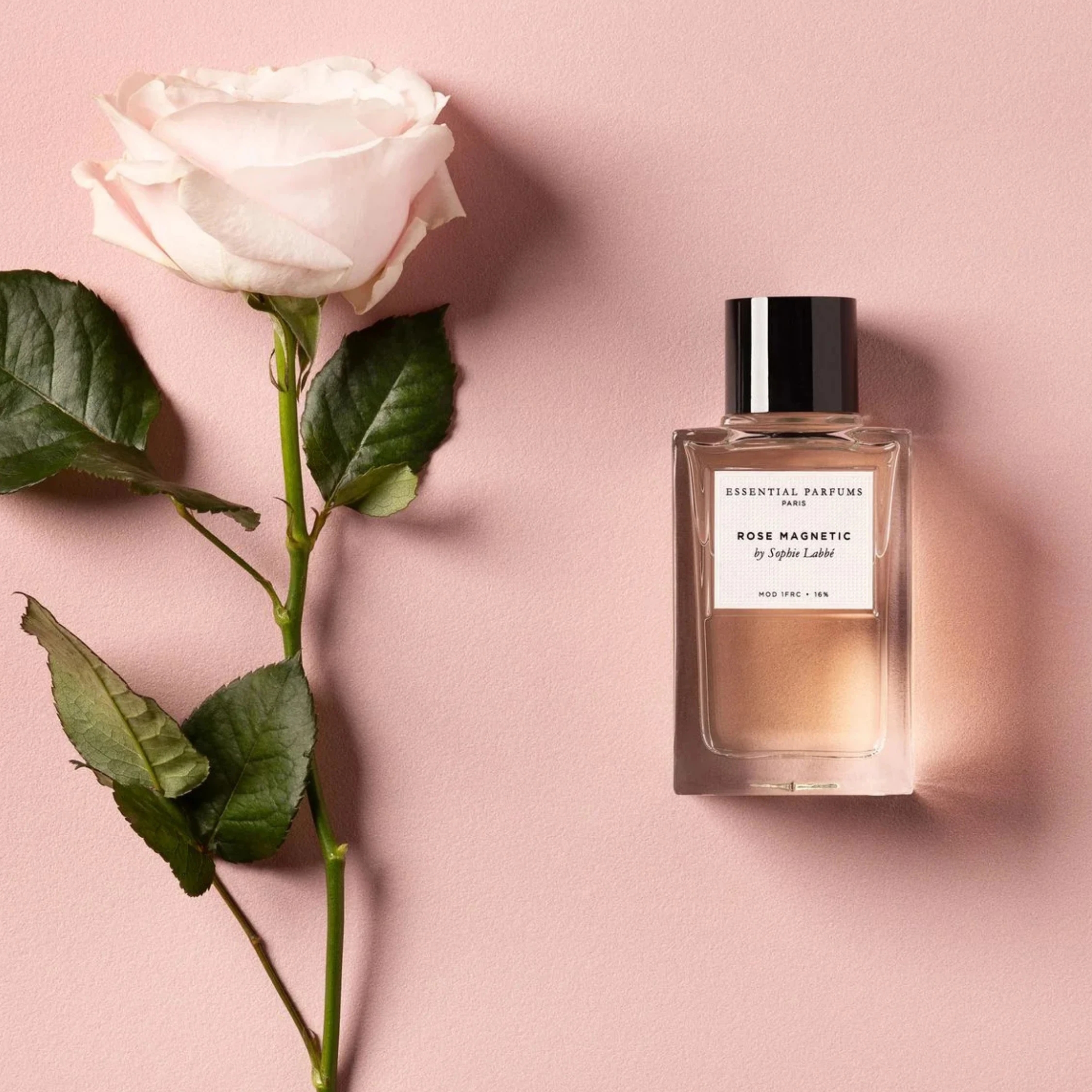 ROSE MAGNETIC