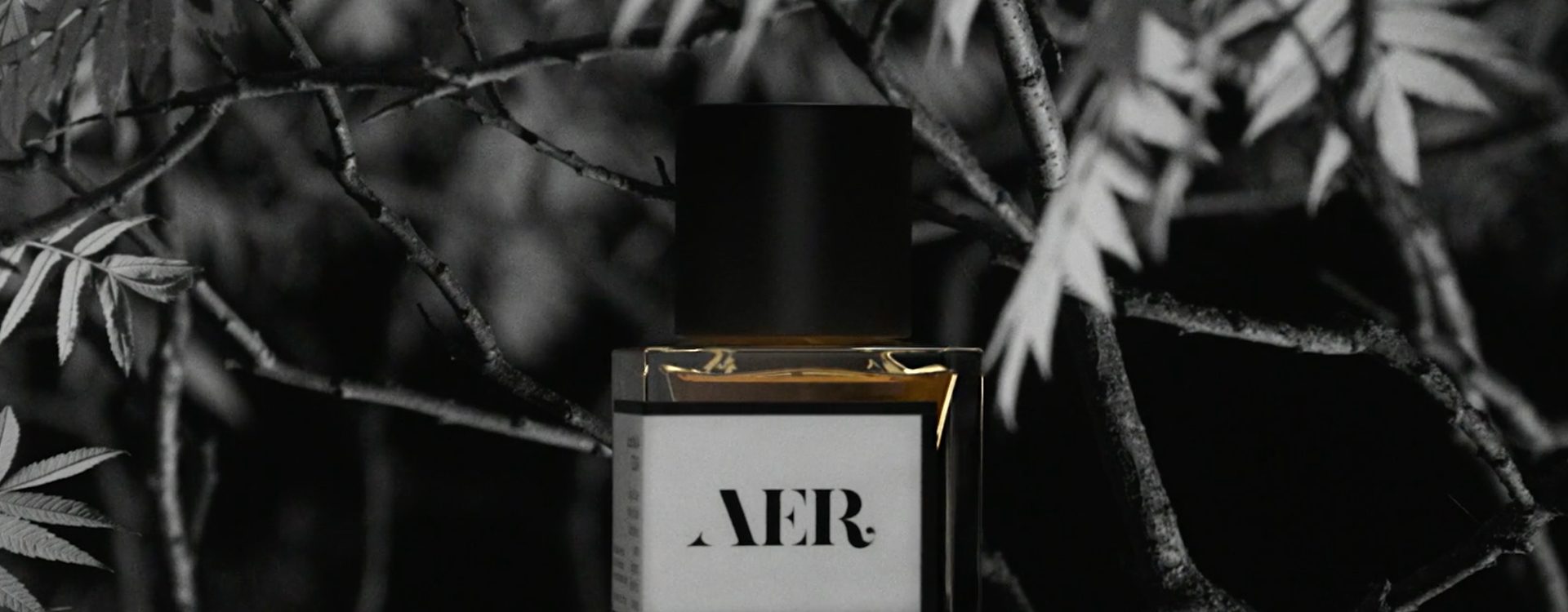 AER