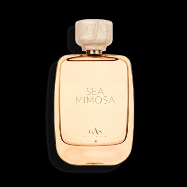 Sea Mimosa