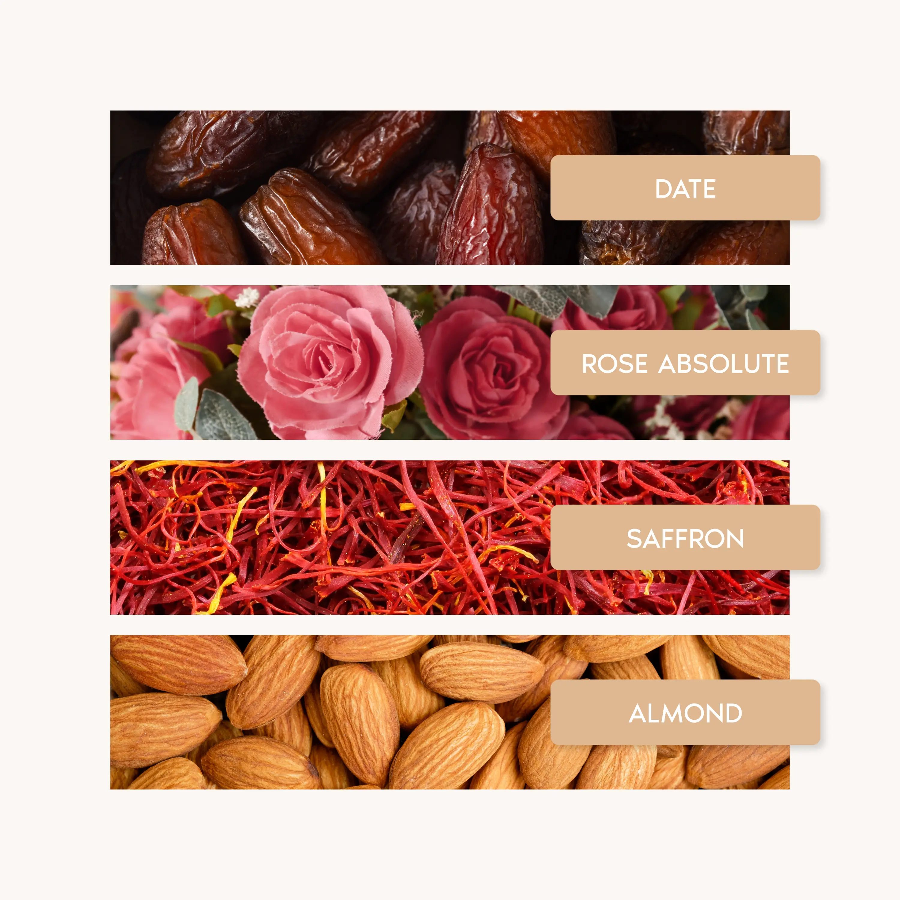 Jardins de Misfah