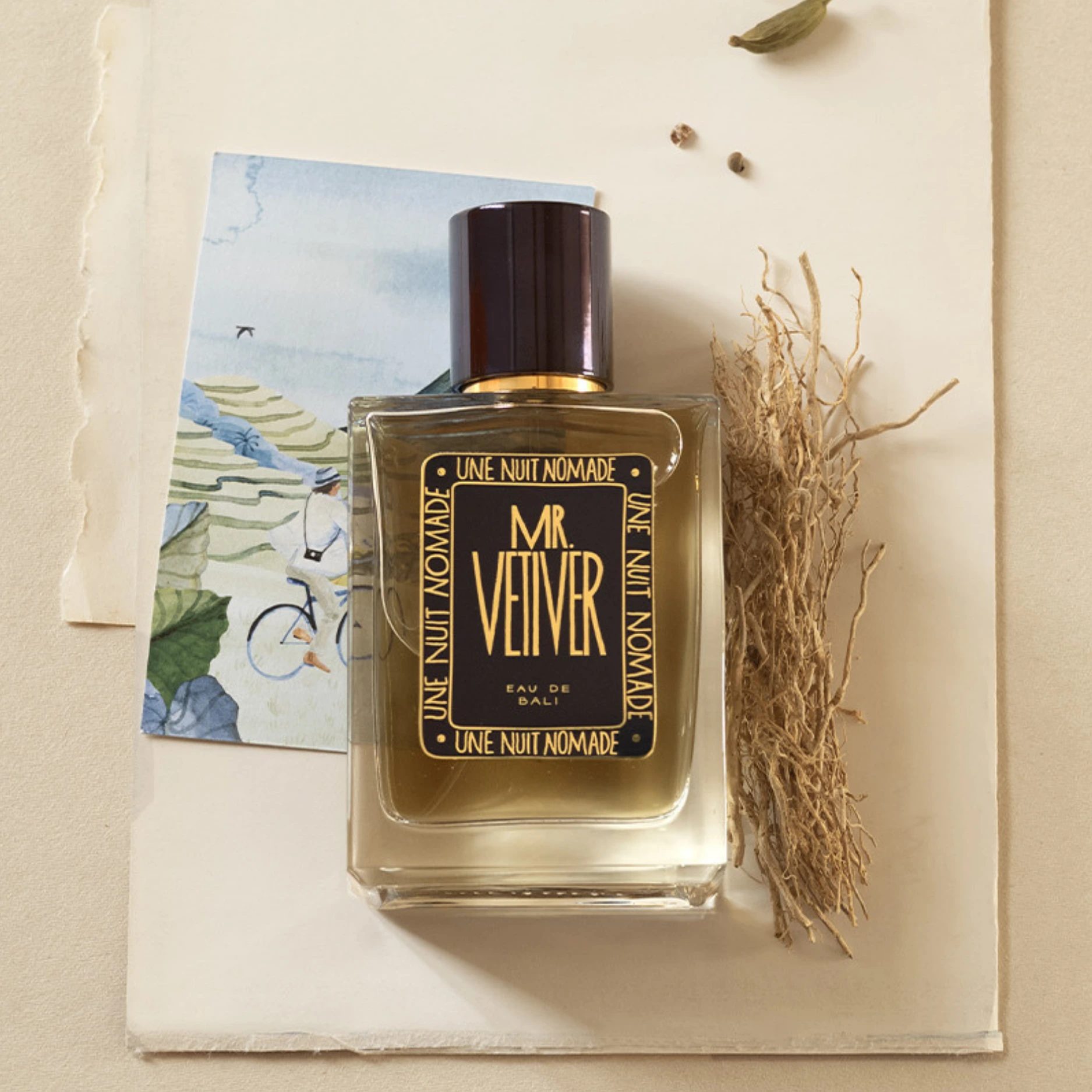 Mr. Vetiver