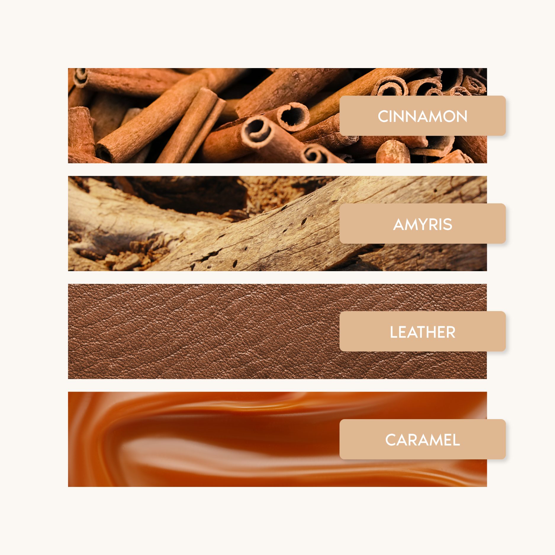 Sugar Leather