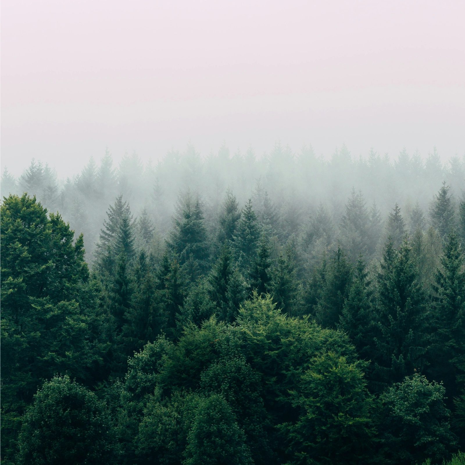 Breathe