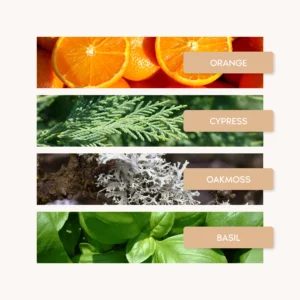 ORANGE X SANTAL