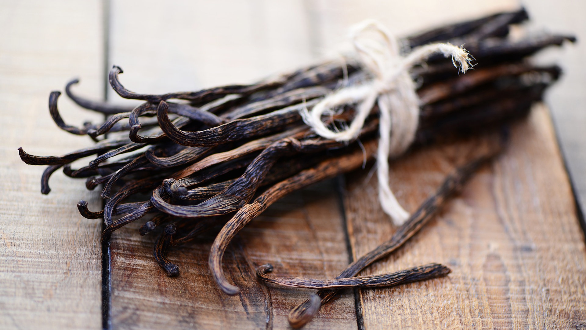 The most beautiful vanilla scents PAFORY